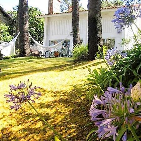 Cabedelo Beach House Виана-ду-Каштелу Экстерьер фото